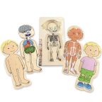 Girl Anatomy 5-Layer Puzzle